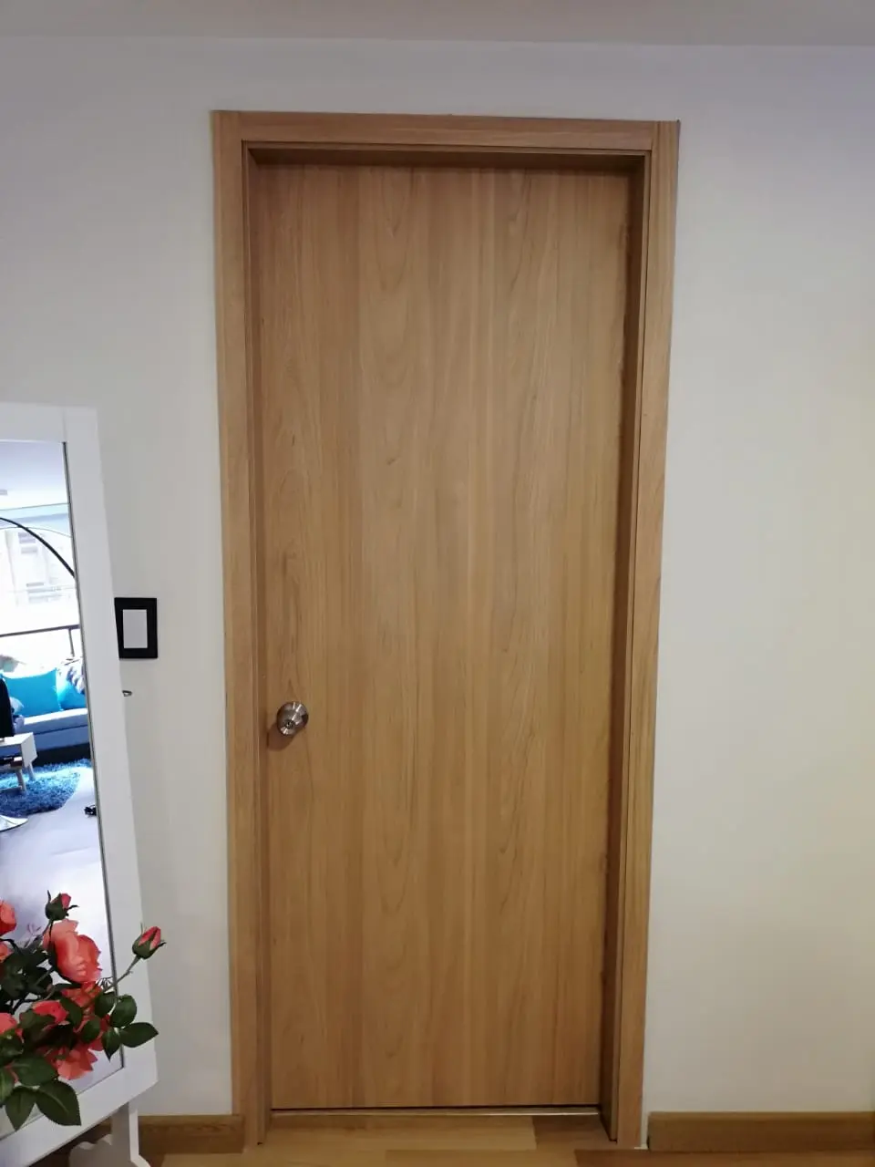 puertas exterior n3o3g