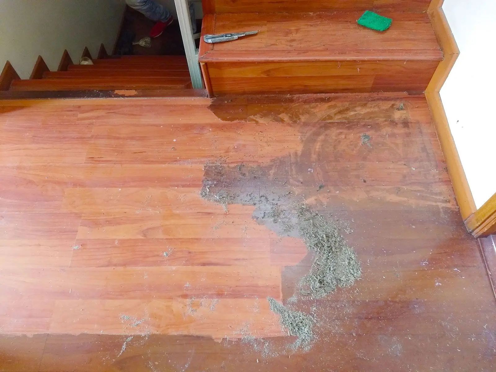 laminados calidad 0ebap