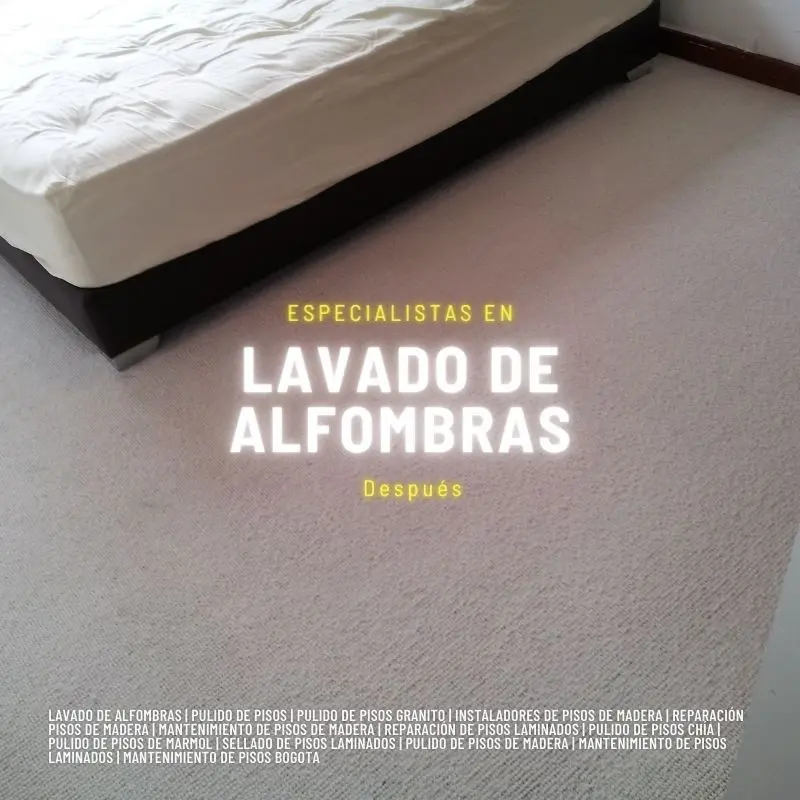 Resultado de lavado de alfombras