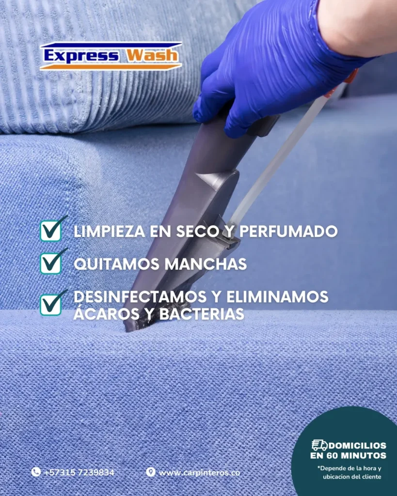 Limpieza profesional de muebles
