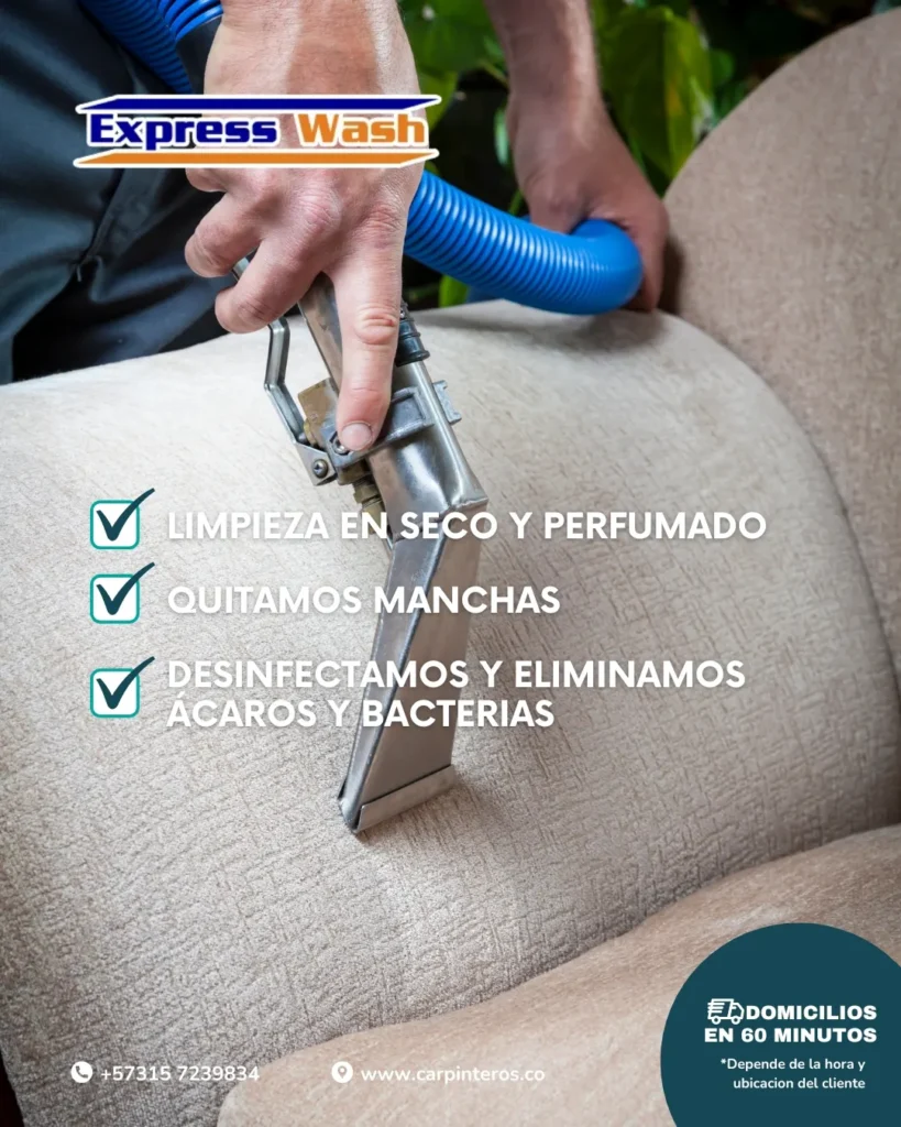 Lavado especializado de muebles
