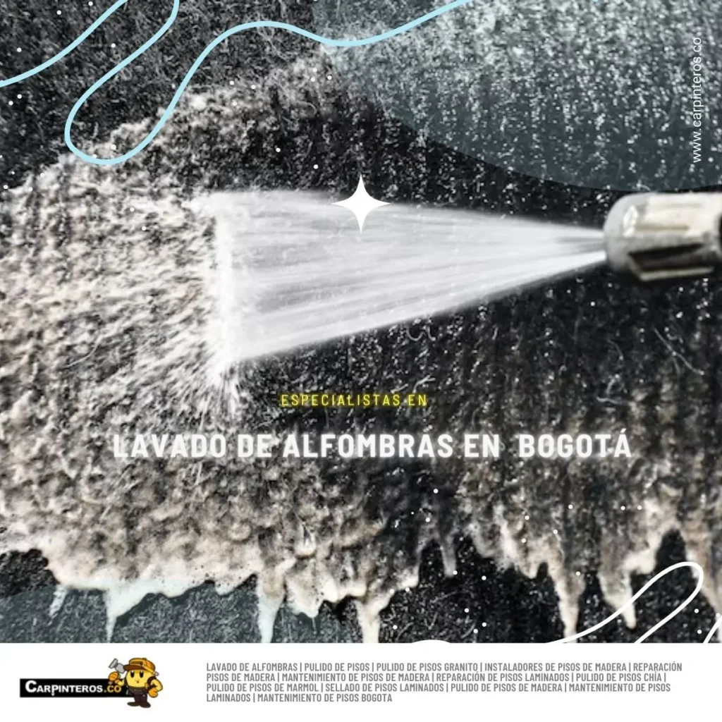 Lavado de alfombras con agua