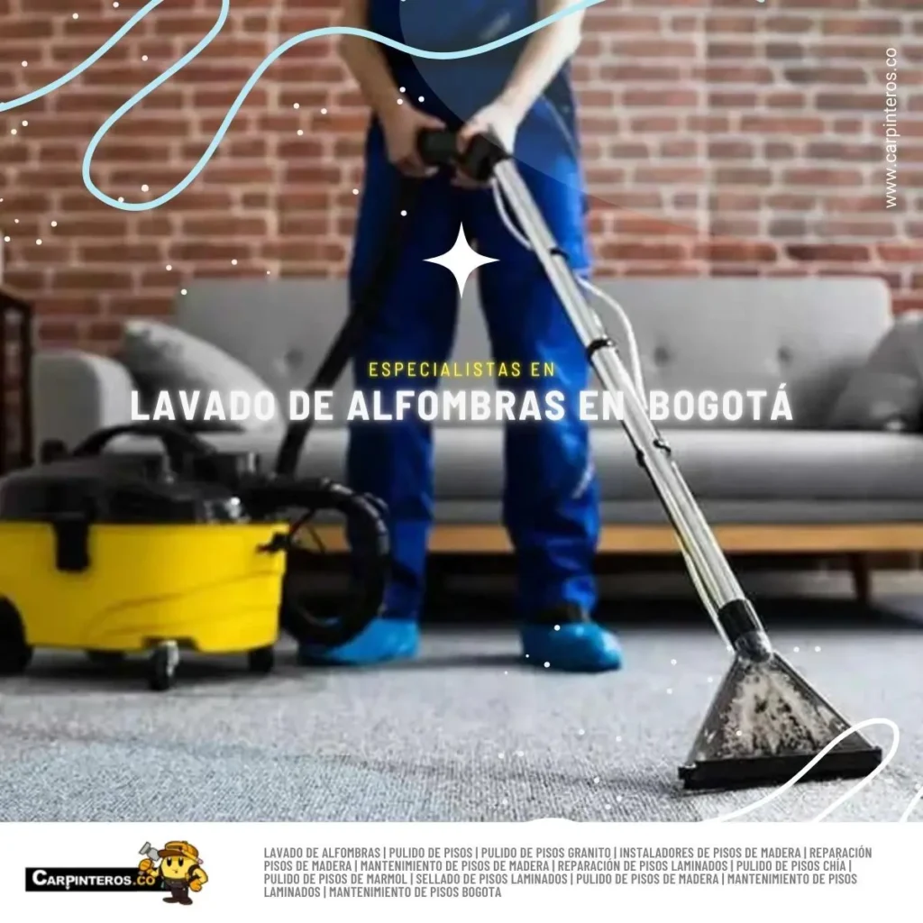 Limpieza profesional de alfombras