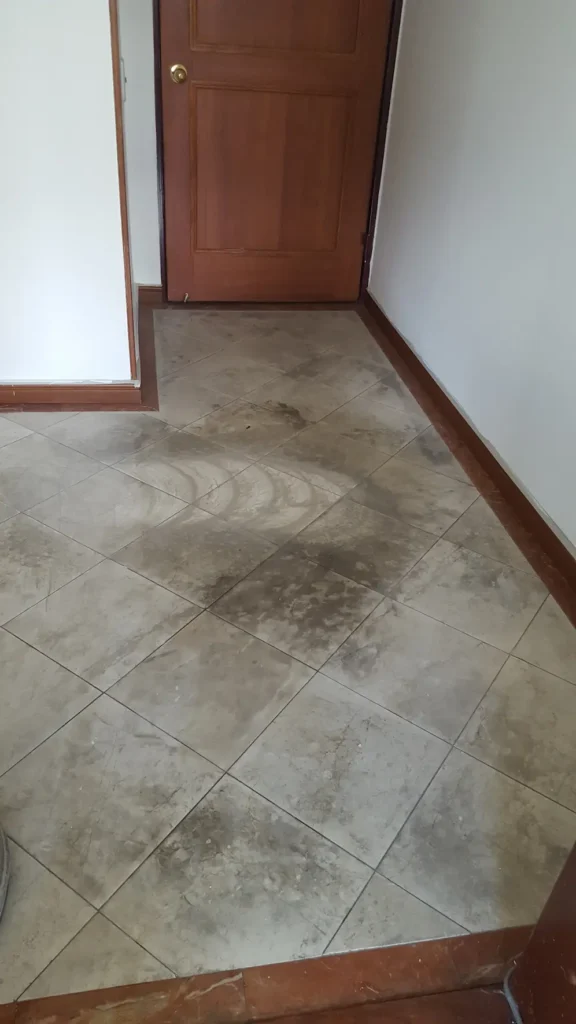 Trabajo de Andrés Martínez